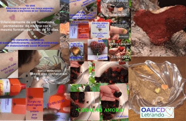 Registros do Coração Divino surgido em uma lasca de pinus e outros sinais naturais observados ao longo do tempo.